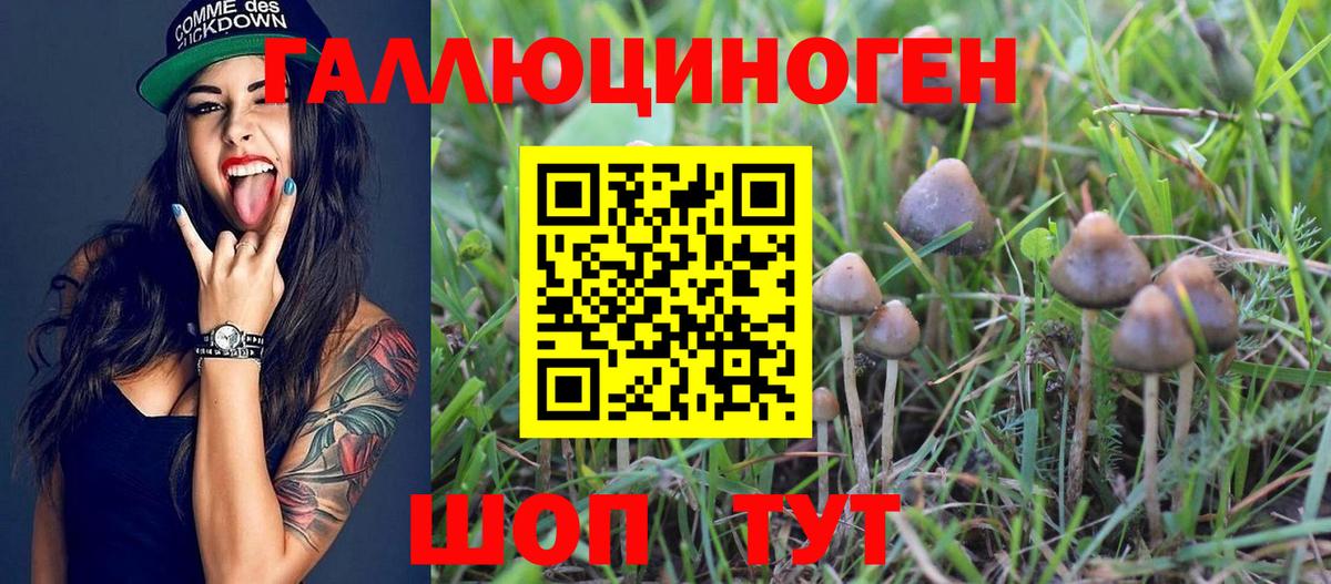 Псилоцибиновые грибы MAGIC MUSHROOMS  Вход с VPN  Богородск 